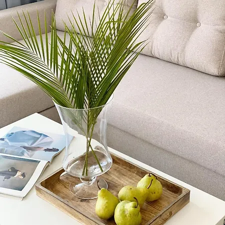 Balticana * Władysławowo